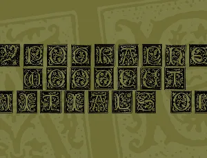 Typographer Woodcut Initials One font