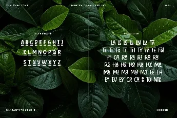 Muntea font