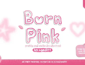 Born Pink Display font