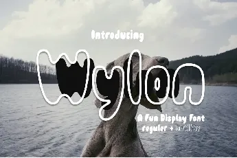 Wylon Outline - Demo font