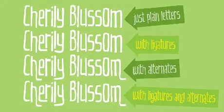 Cherily Blussom DEMO font