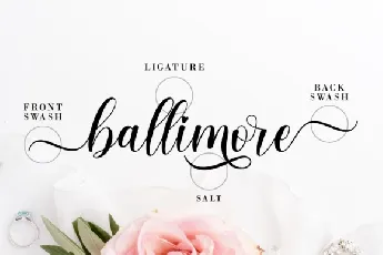 Belarose Modern Calligraphy font