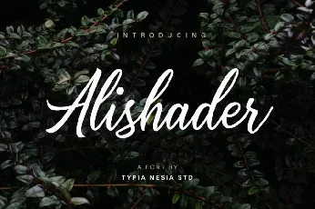 Alishader Script Free Download font