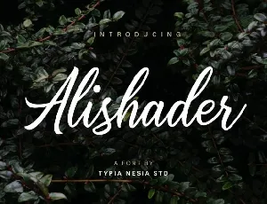 Alishader Script Free Download font