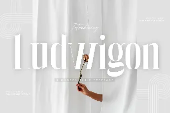 Ludwigon Personal Use font