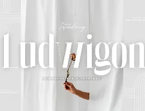 Ludwigon Personal Use font