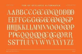 Lettertype DEMO font