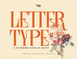 Lettertype DEMO font
