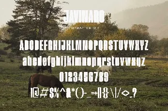 Javinaro font