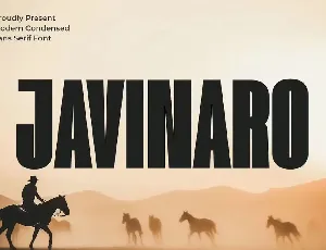 Javinaro font