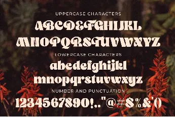 The Franky Dunkey font