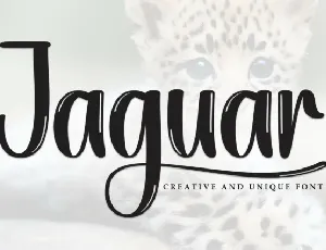 Jaguar Brush font