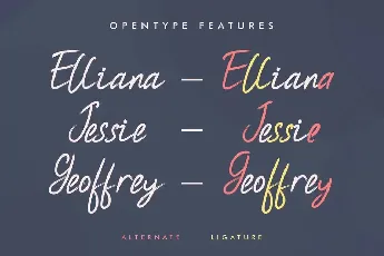 Secretto Edo Demo font