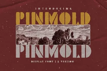 Pinmold font