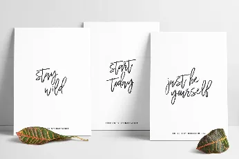 Wilderness Brush Free font