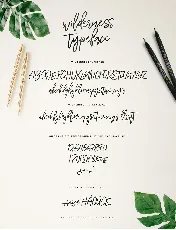 Wilderness Brush Free font