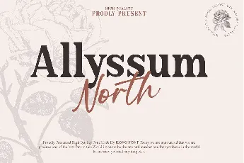 Allyssum North Duo font