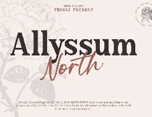 Allyssum North Duo font