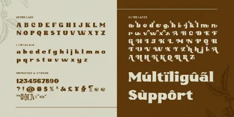 Brwndwin font