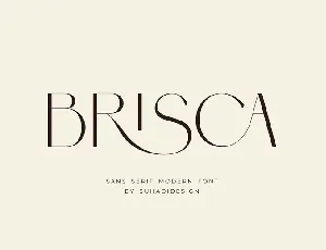 Brisca font