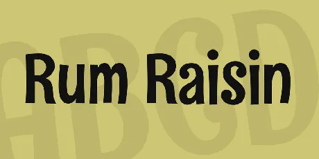 Rum Raisin font