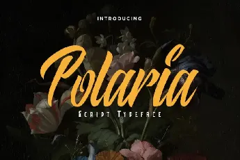 Polaria Script Typeface font