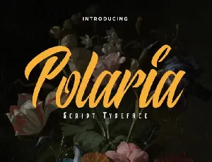 Polaria Script Typeface font