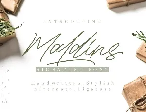 Maldins FREE font