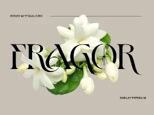 Fragor - Demo Version font