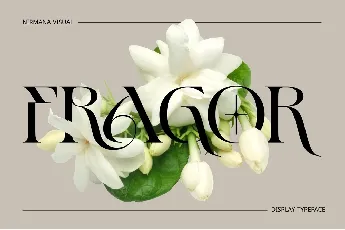 Fragor - Demo Version font