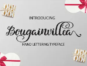 Bougainvillea Calligraphy font