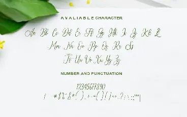 Royallisa font