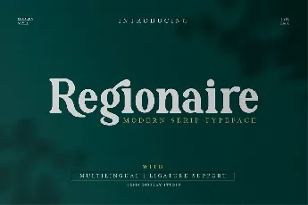 Regionaire Modern Serif Typeface font