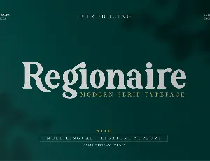 Regionaire Modern Serif Typeface font