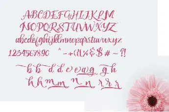 Anywishes font