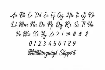 Analyzer Calligraphy font