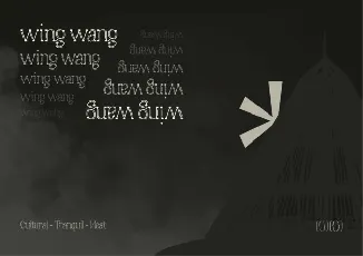 Wing Wang Display font