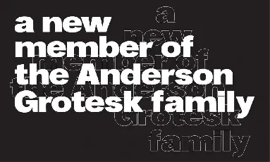 Anderson Grotesk Black font