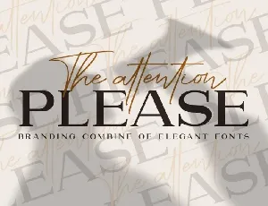 The Attention Please Duo font