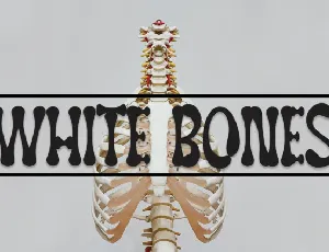 White Bones Display font