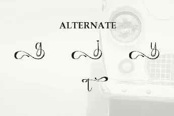 Vintage Calligraphy font