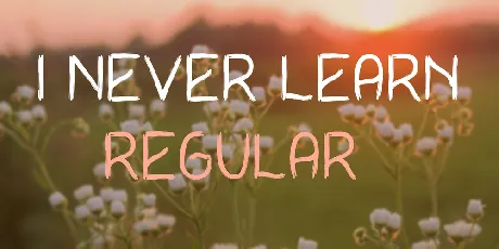 I Never Learn font