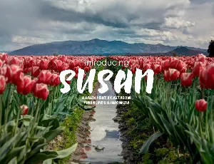 Susan Brush font