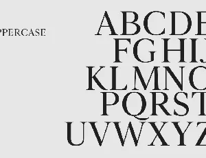 Novar Typeface font