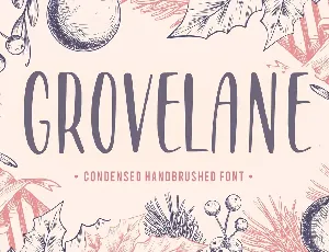 GROVELANE font