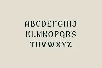 Font211