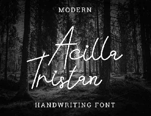 Acilla Tristan Handwriting font