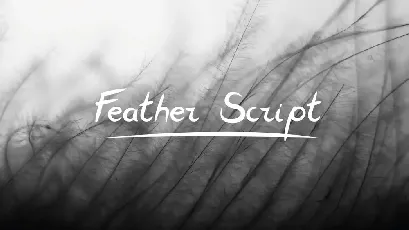 FeatherScript font