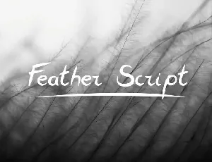 FeatherScript font