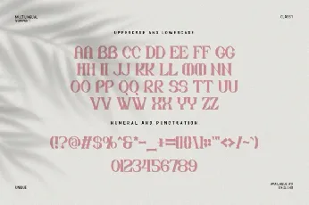 Drivioz font